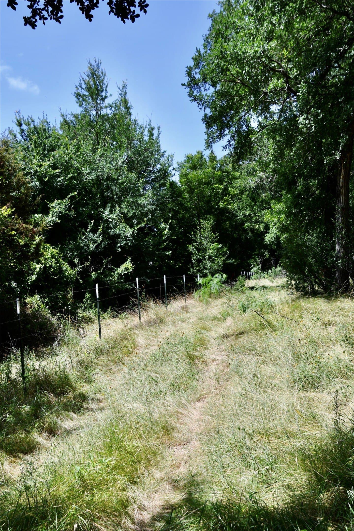 55 acres in Lampasas County - photo 40
