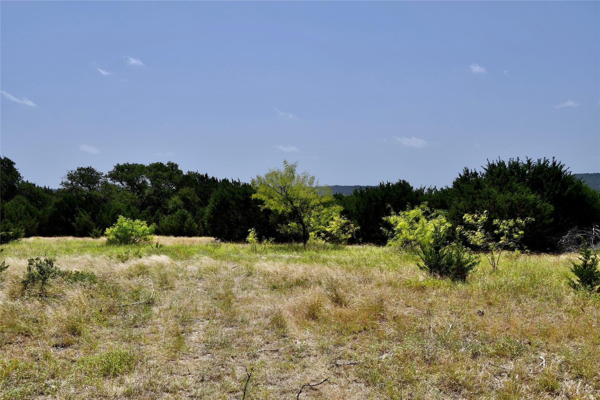 55 acres in Lampasas County - photo 16