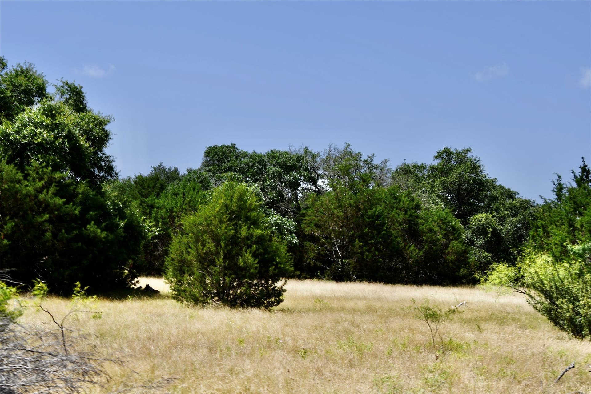55 acres in Lampasas County - photo 6