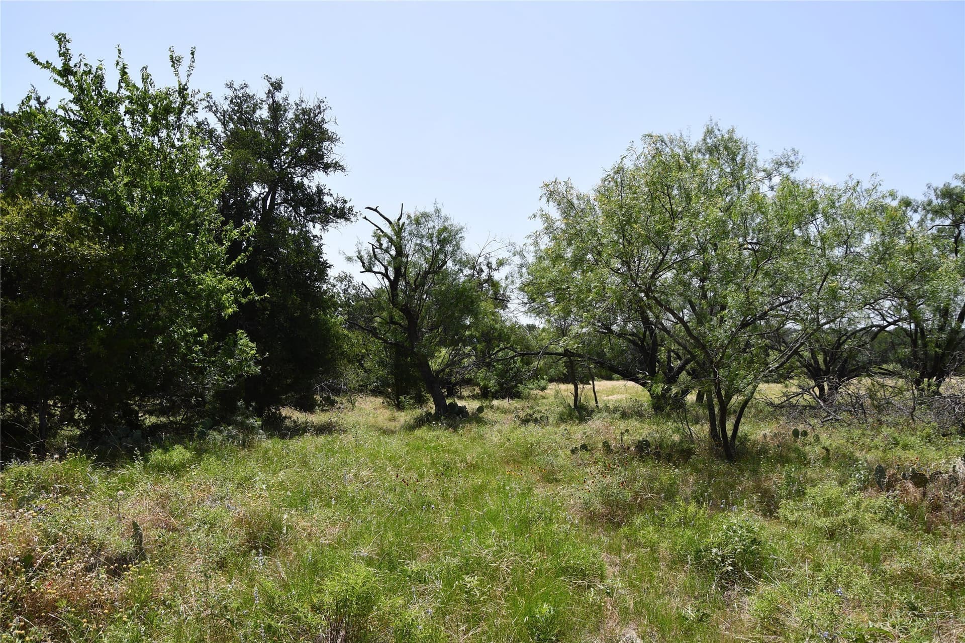 55 acres in Lampasas County - photo 26