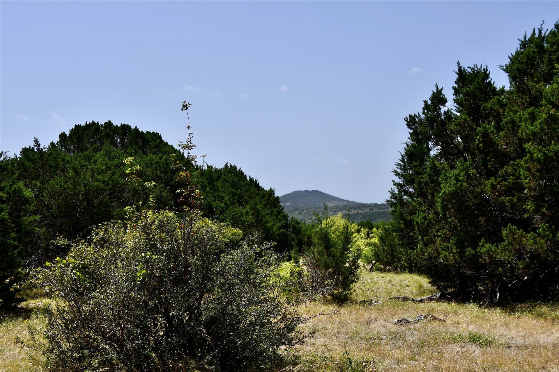 55 acres in Lampasas County - photo 2