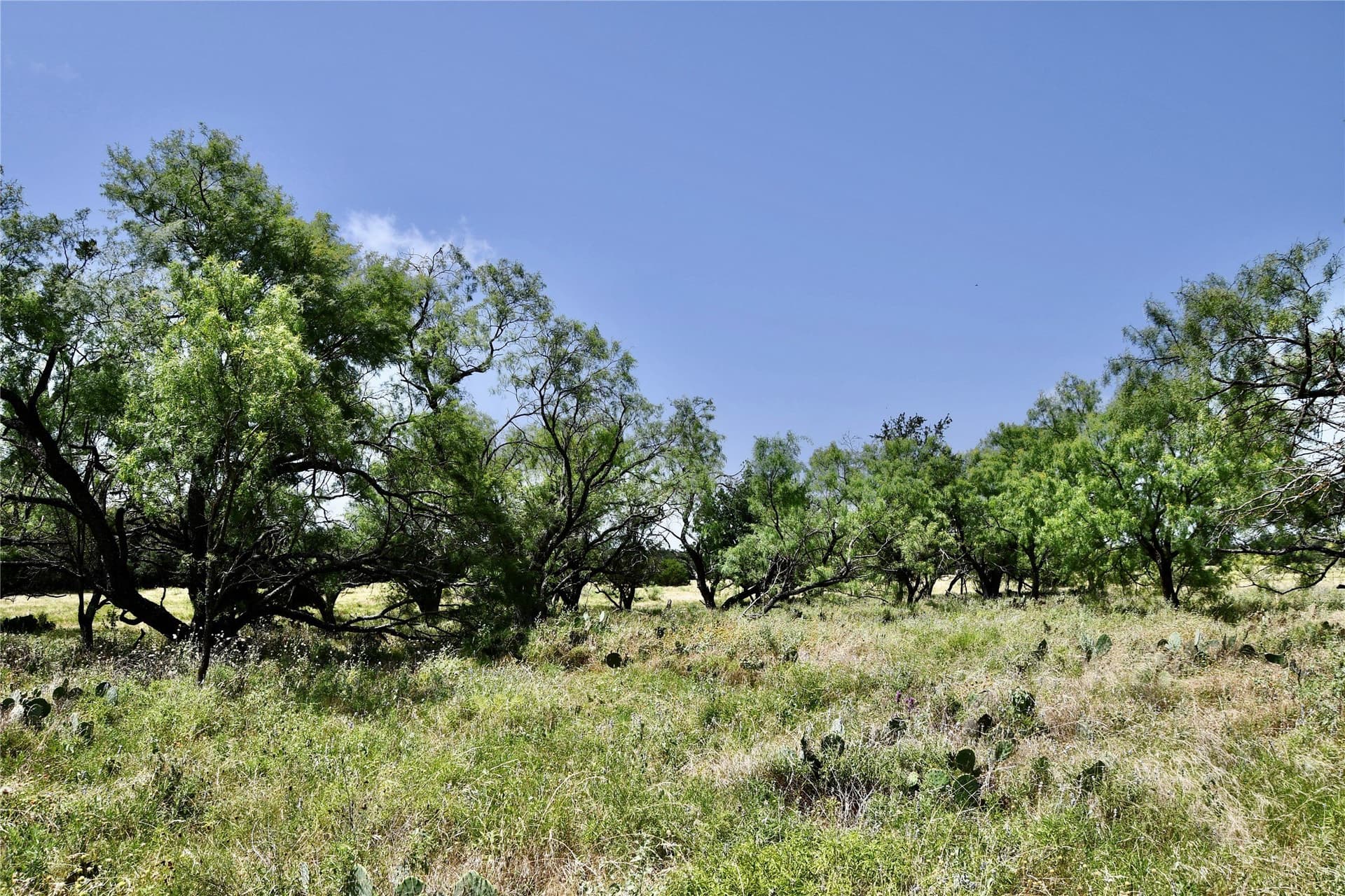 55 acres in Lampasas County - photo 25
