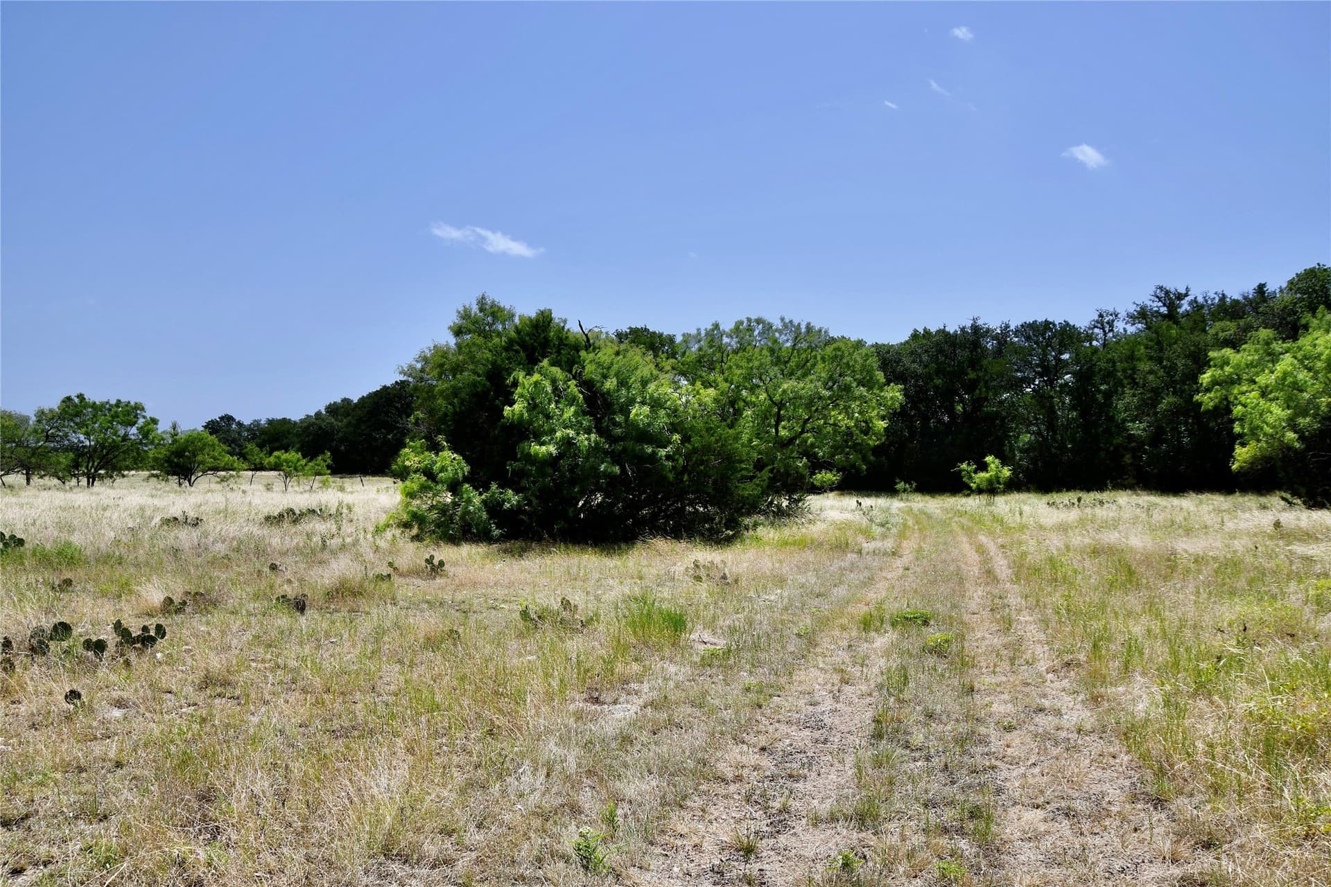 55 acres in Lampasas County - photo 32