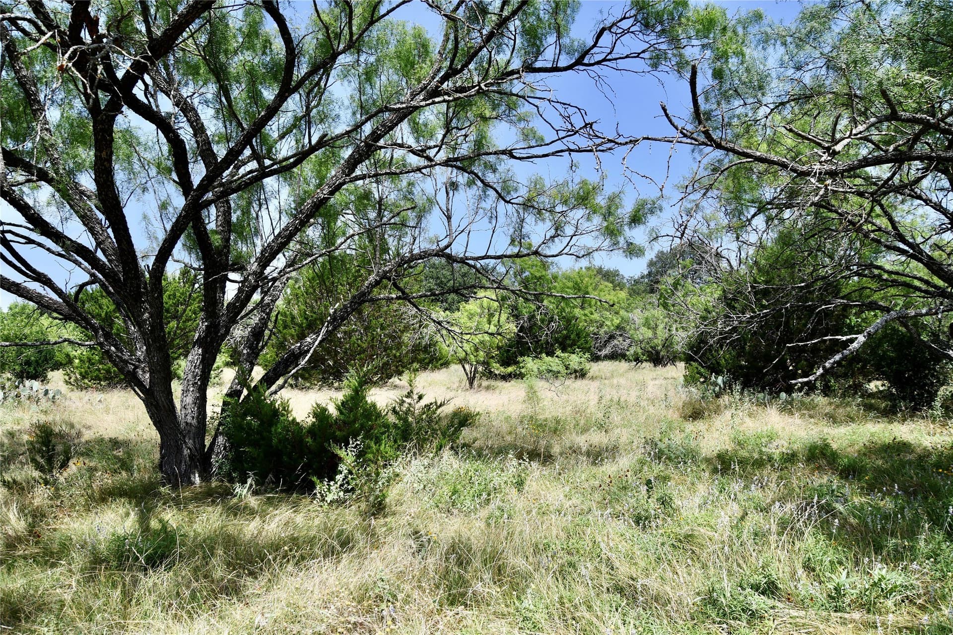55 acres in Lampasas County - photo 19