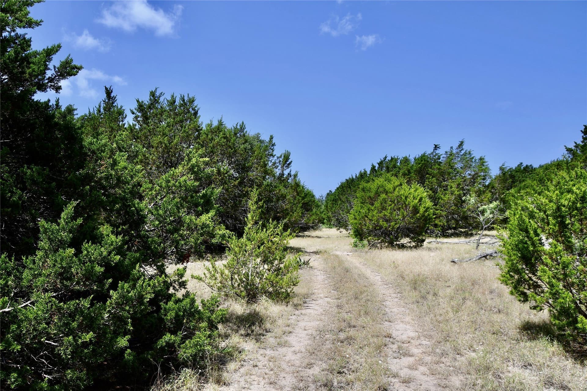 55 acres in Lampasas County - photo 11