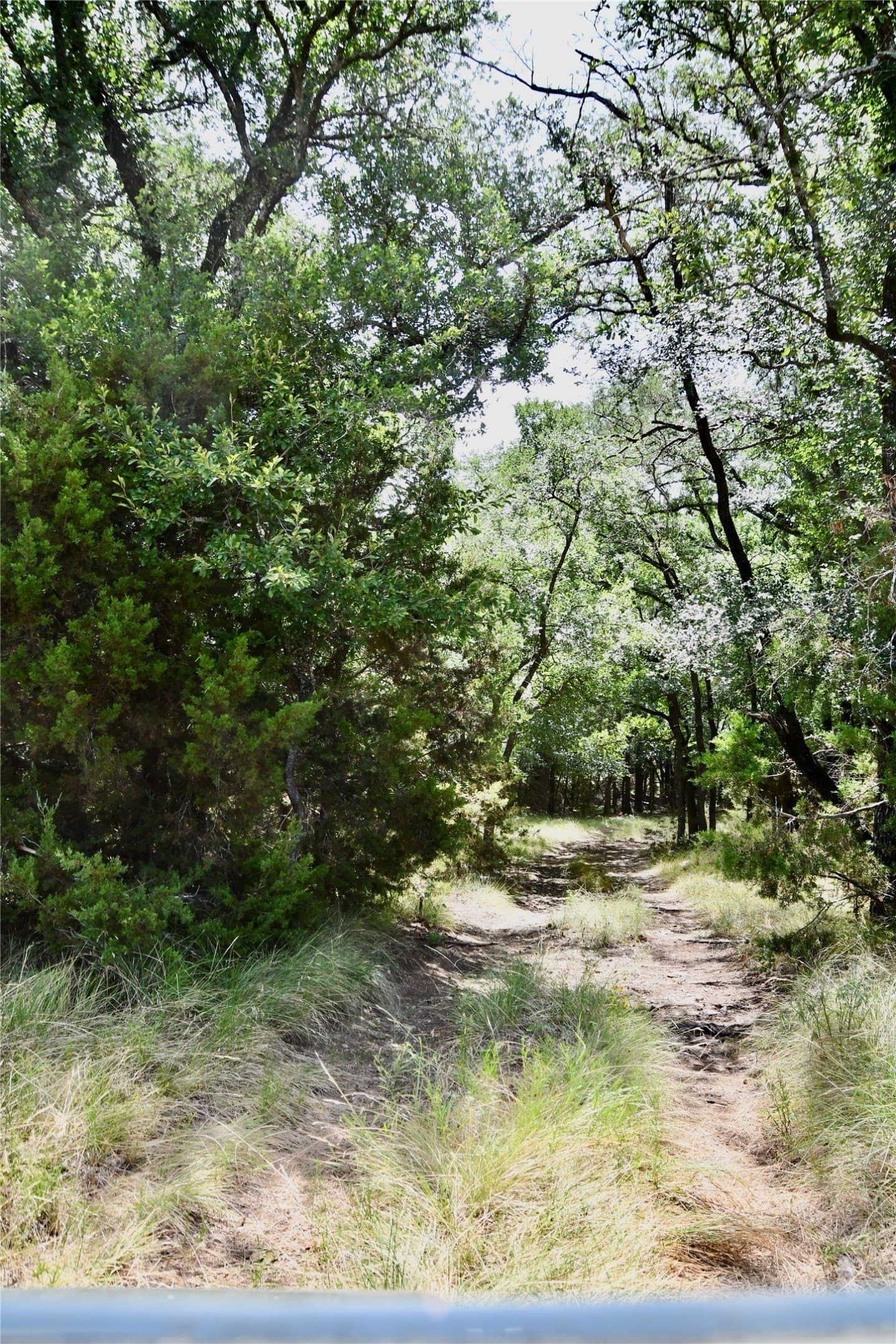 55 acres in Lampasas County - photo 33
