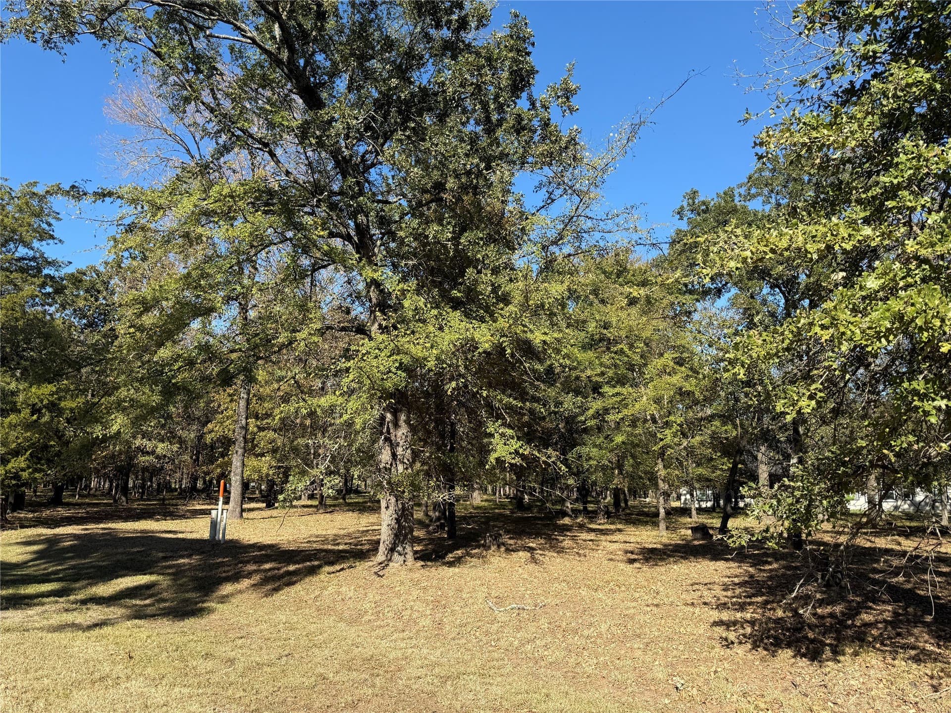 0.48 acres in Henderson County - photo 12