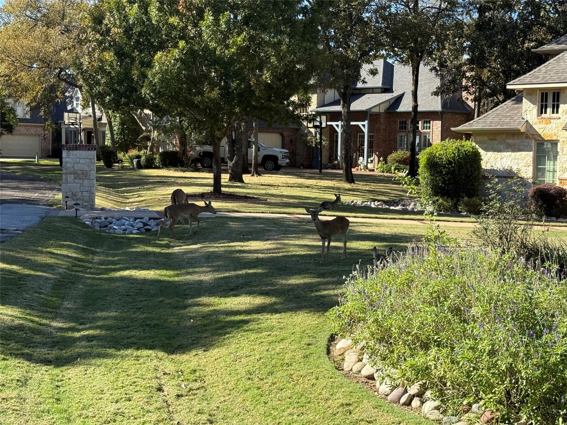 0.48 acres in Henderson County - photo 9
