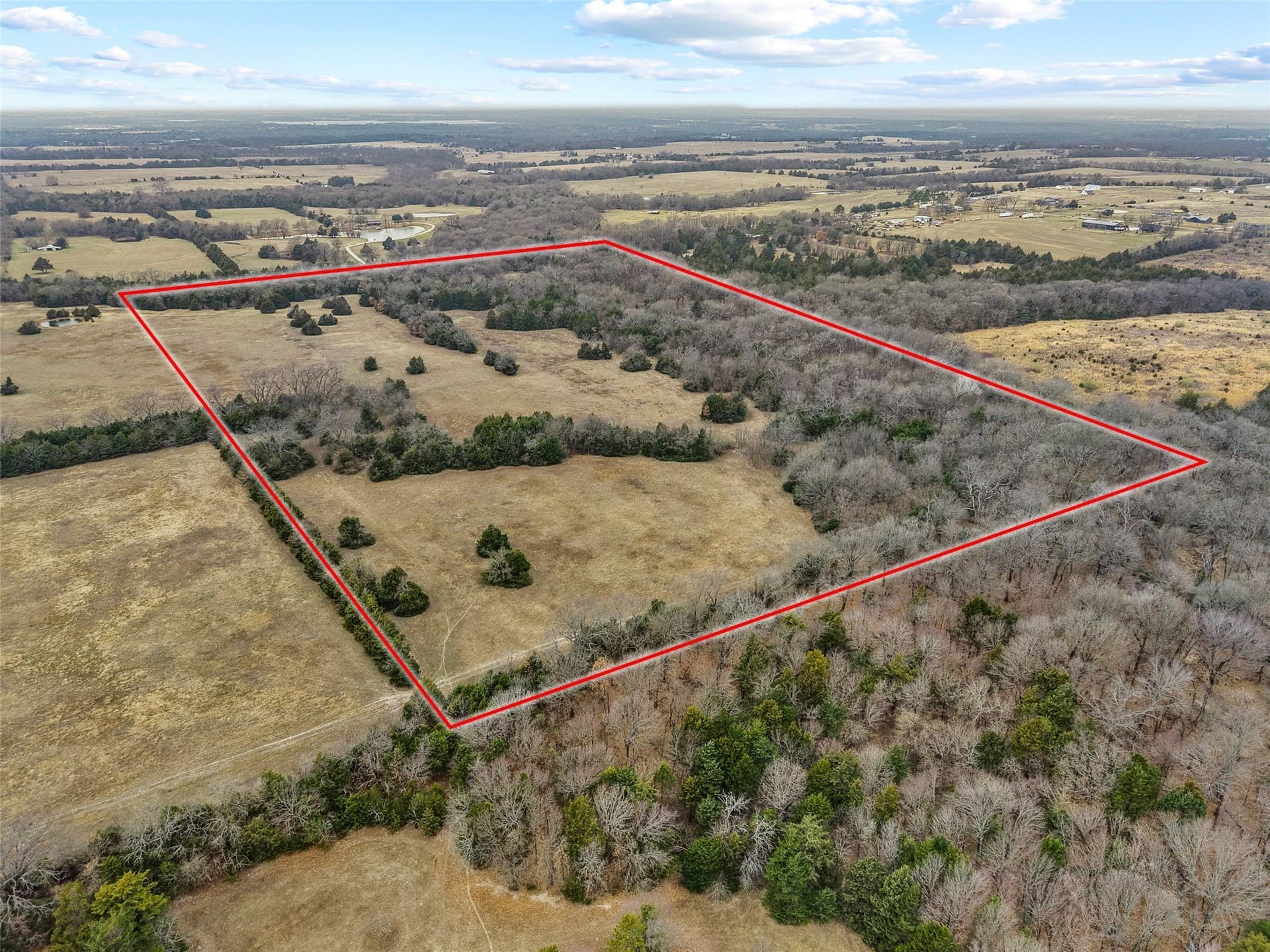 37.75 acres in Fannin County - photo 3