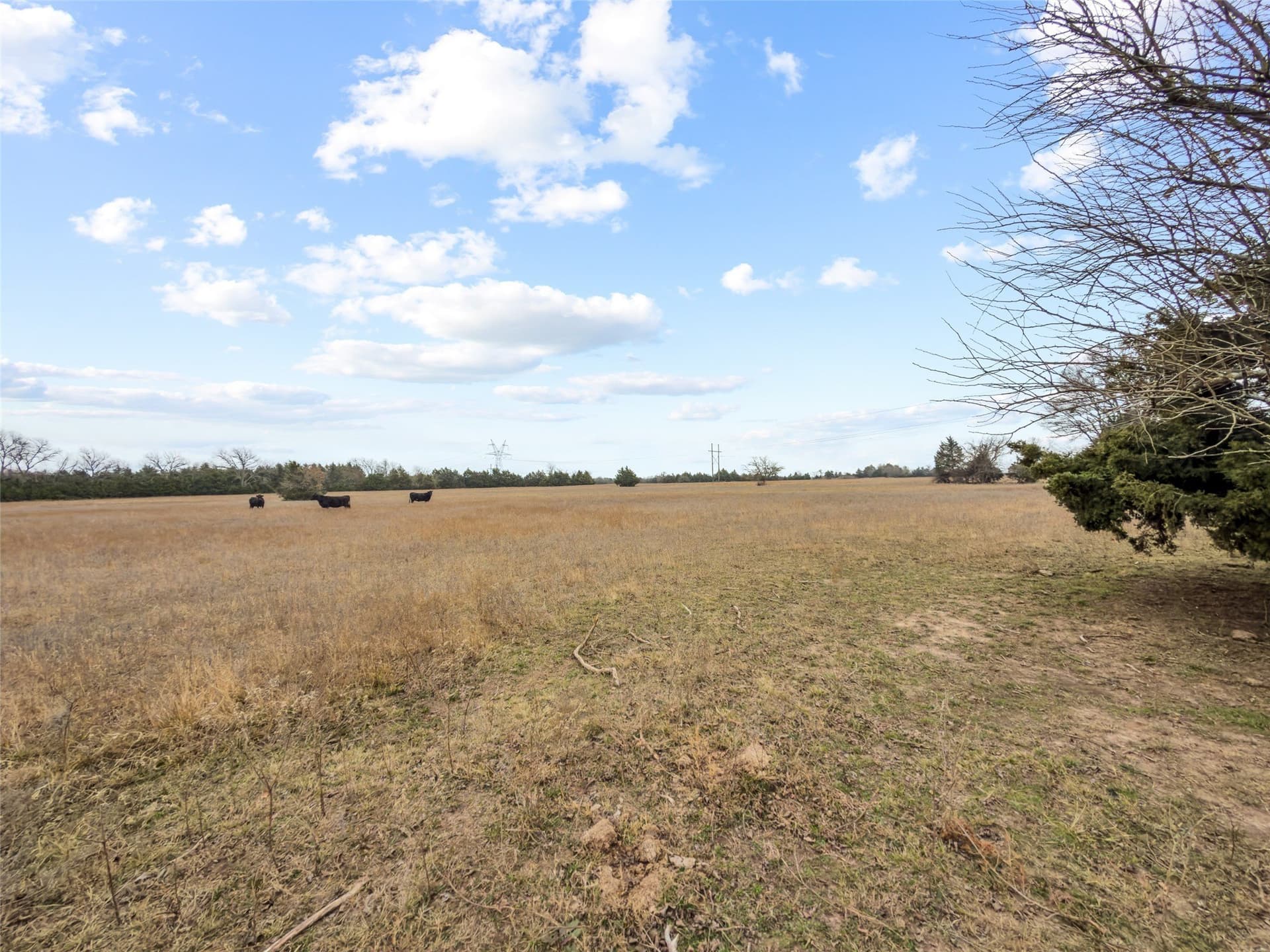 37.75 acres in Fannin County - photo 7