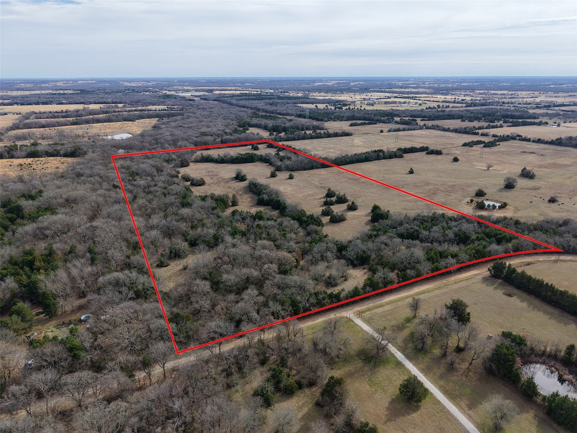 37.75 acres in Fannin County - photo 2