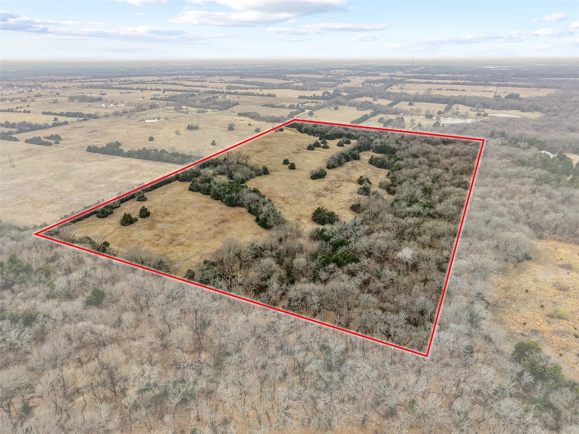 37.75 acres in Fannin County - photo 5