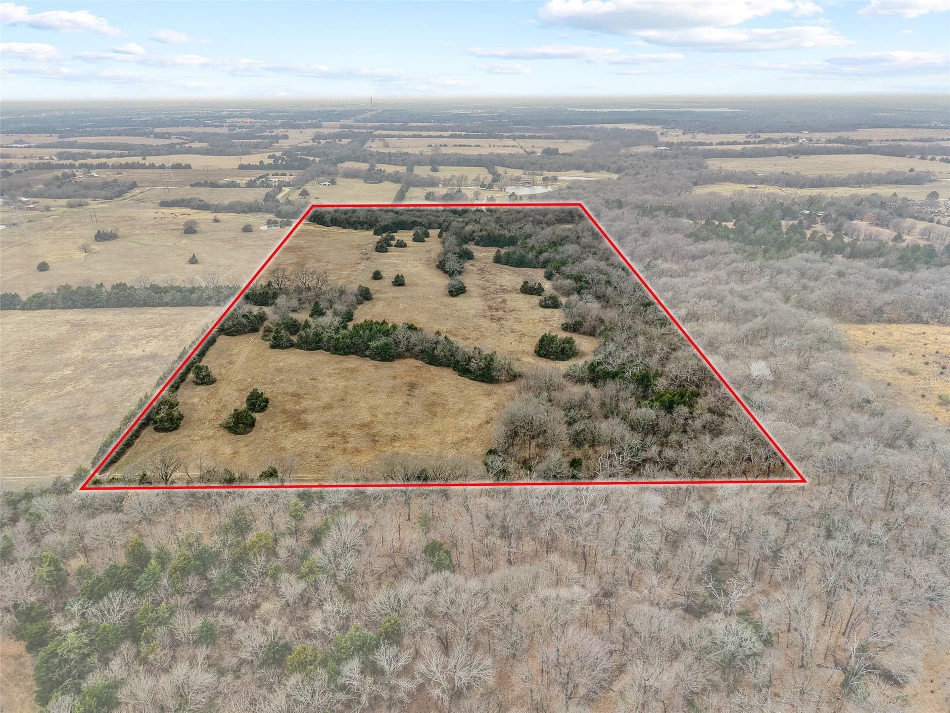 37.75 acres in Fannin County - photo 4