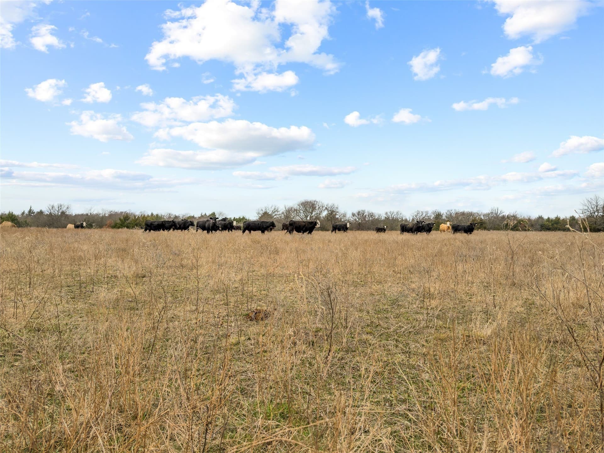 37.75 acres in Fannin County - photo 6