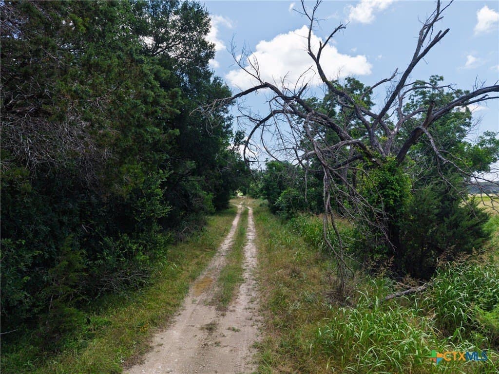 38.43 acres in Burnet County - photo 13