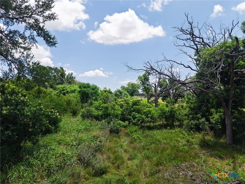 38.43 acres in Burnet County - photo 14