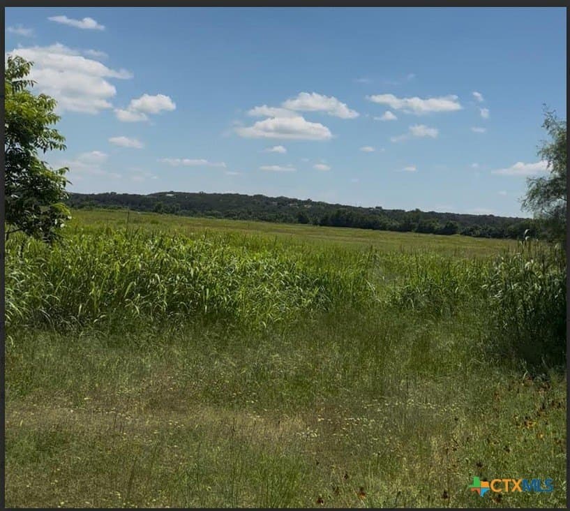 38.43 acres in Burnet County gallery image 2