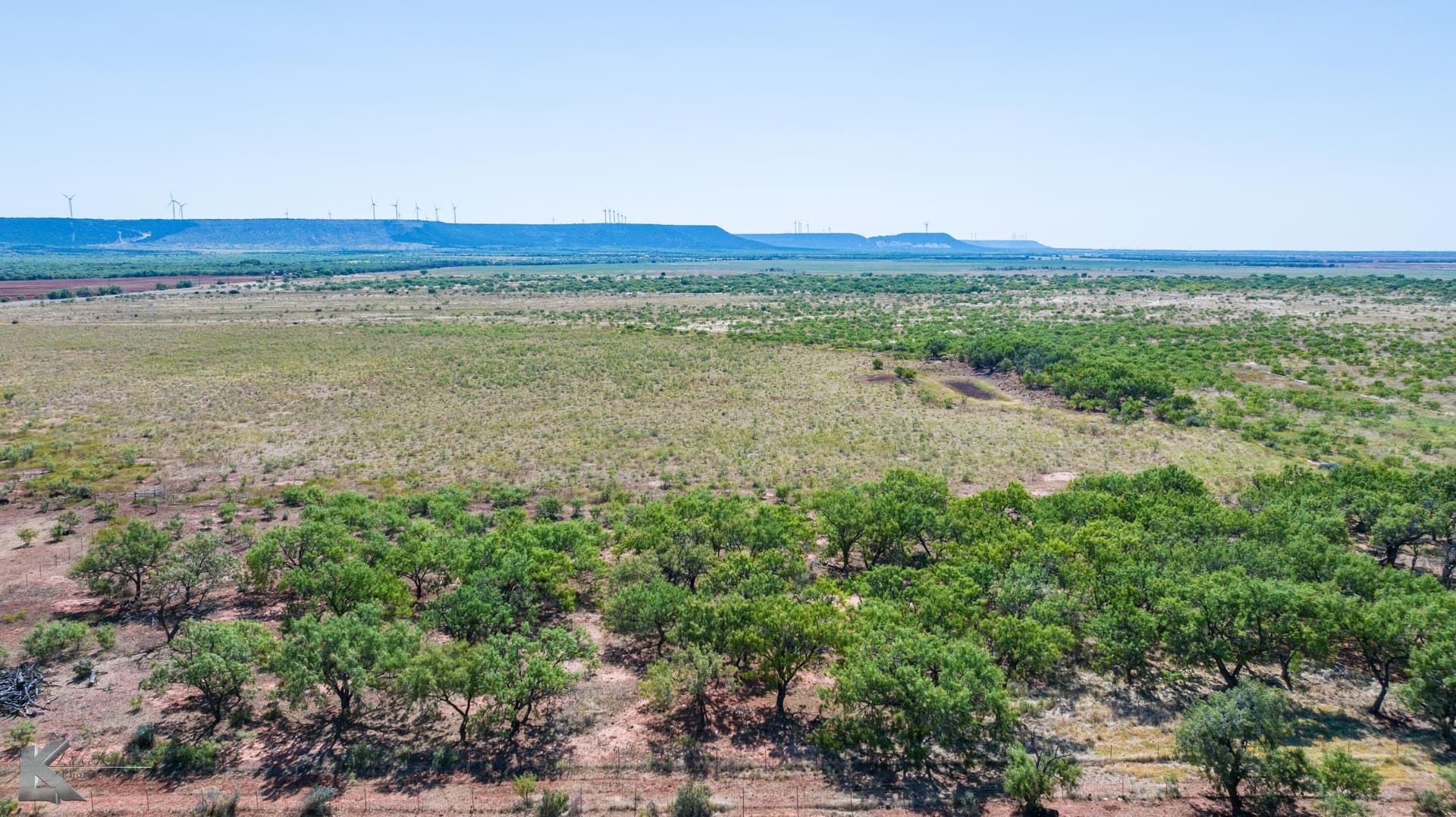 158.05 acres in Taylor County gallery image 4