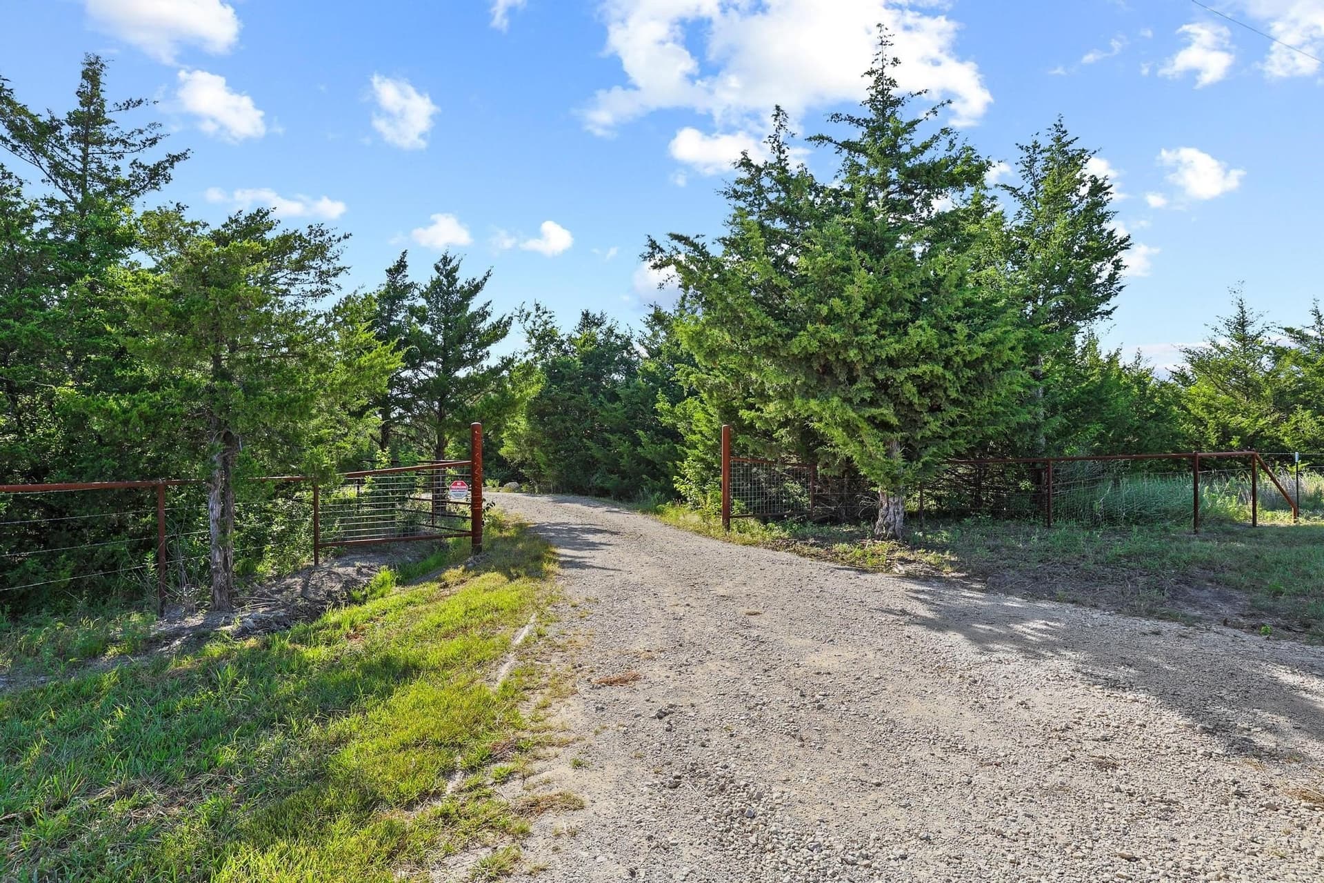 16.93 acres in Fannin County - photo 3