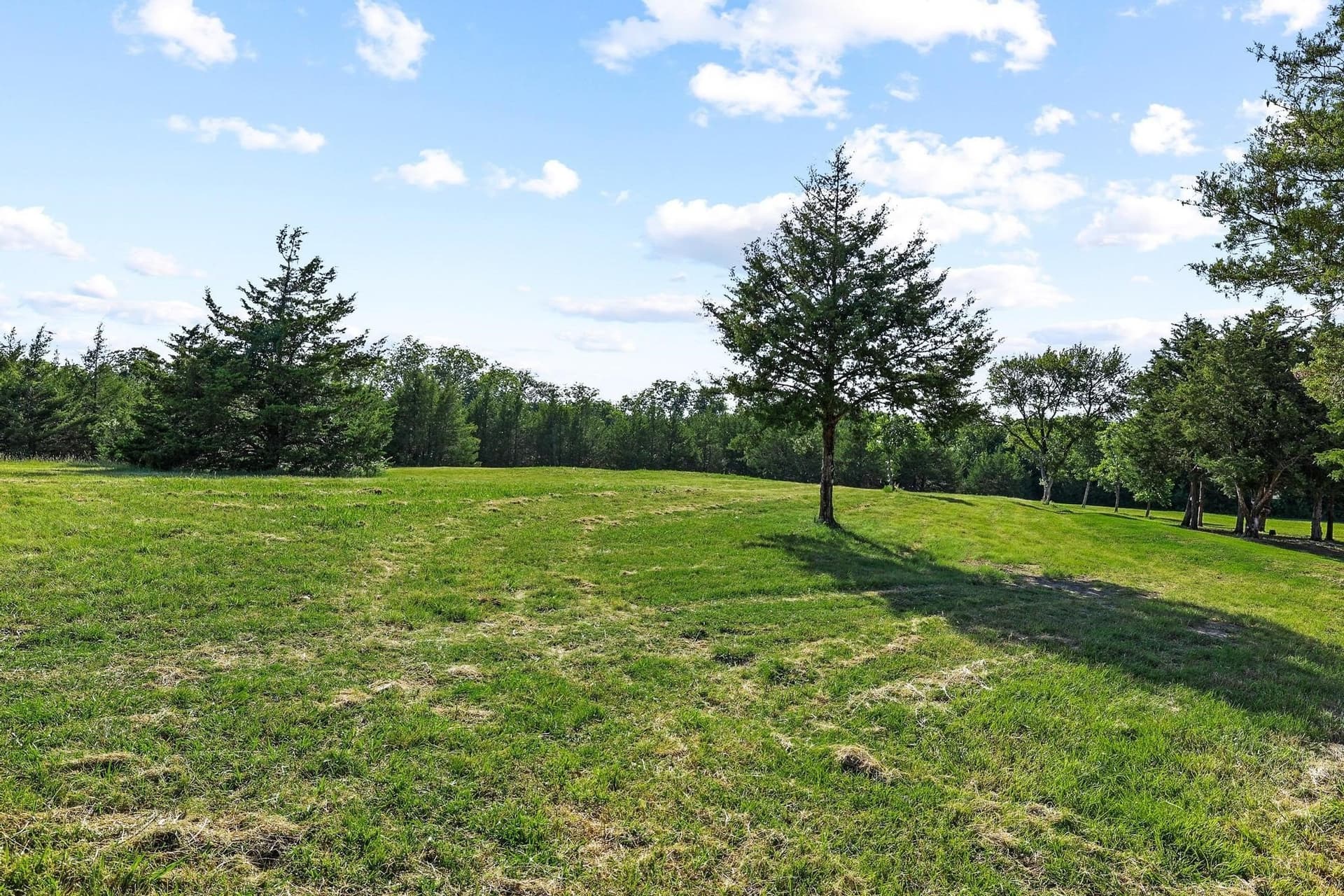 16.93 acres in Fannin County - photo 25
