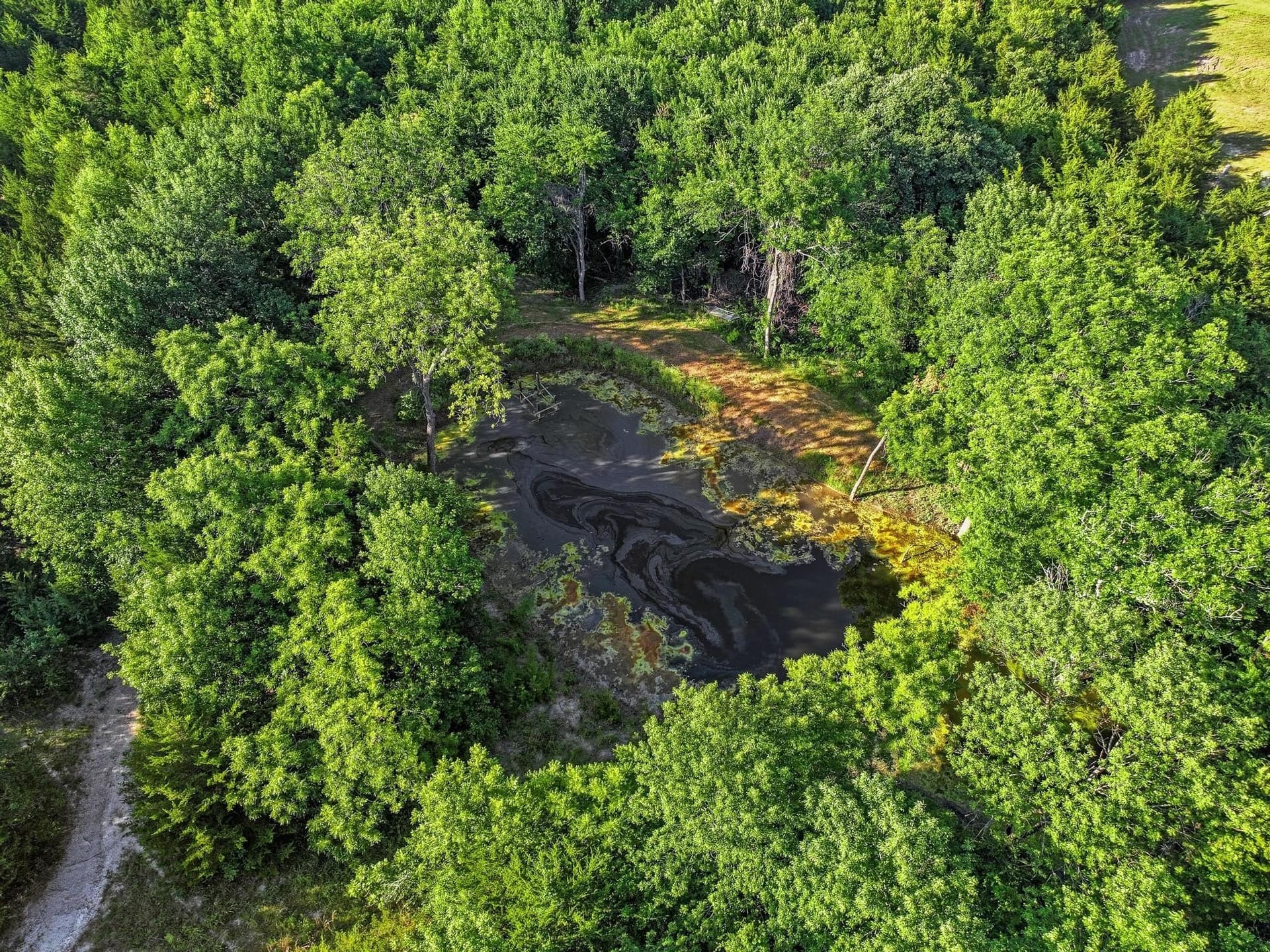 16.93 acres in Fannin County - photo 24