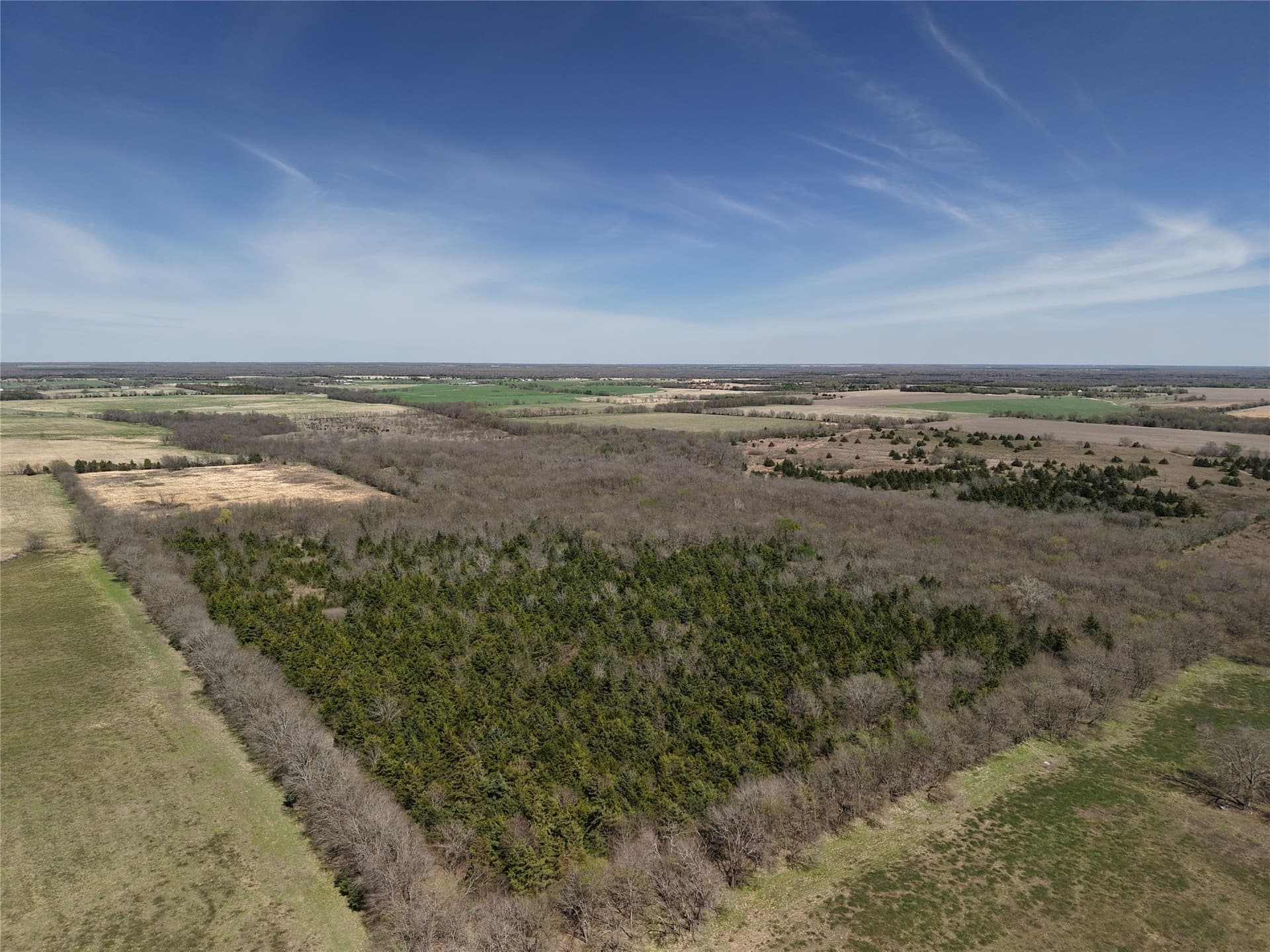 110.21 acres in Red River (TX) County gallery image 2