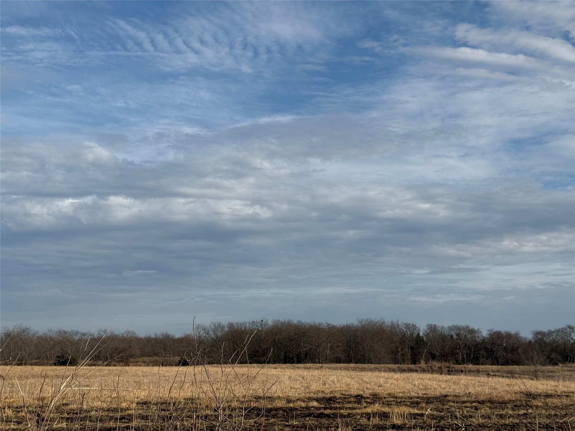 110.21 acres in Red River (TX) County gallery image 4