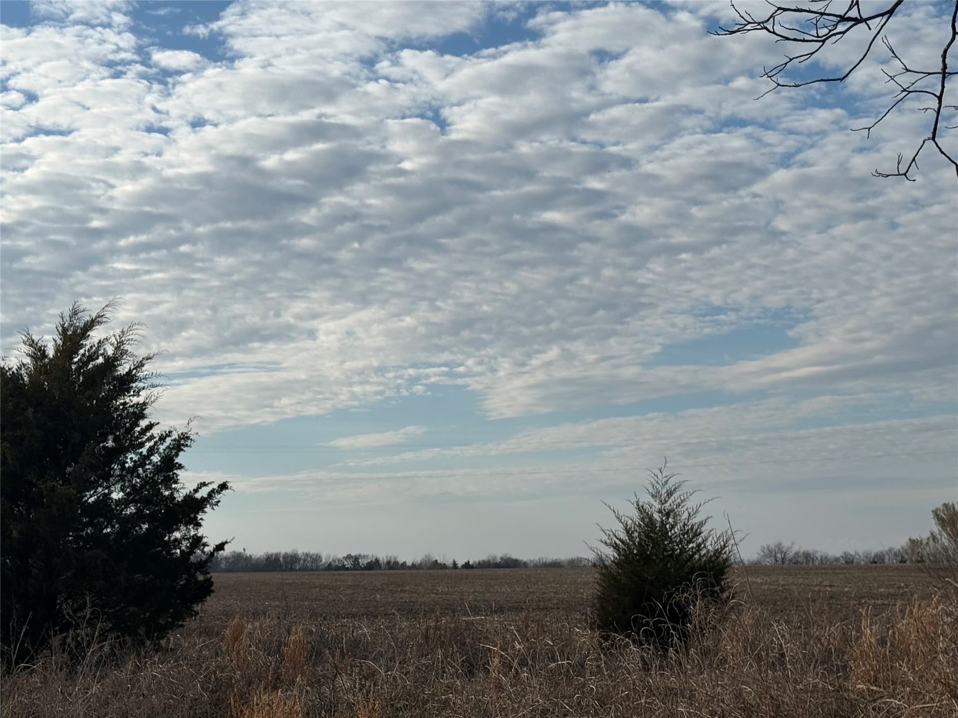 110.21 acres in Red River (TX) County gallery image 3