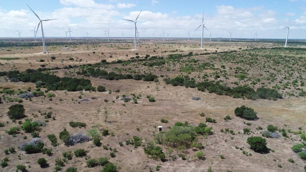 296.5 acres in Nolan County gallery image 3