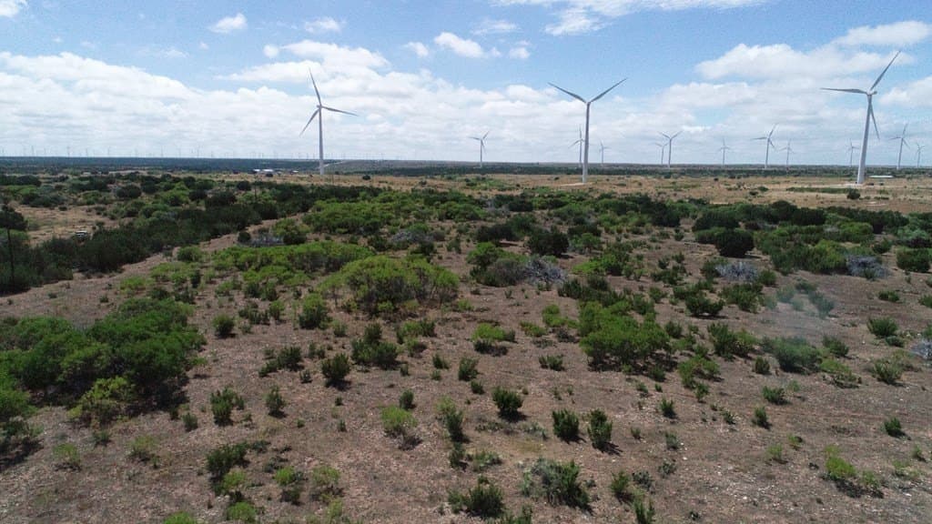 296.5 acres in Nolan County - photo 6