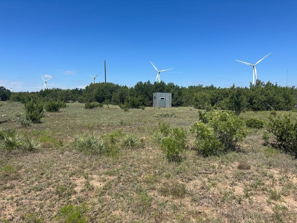 296.5 acres in Nolan County - photo 26