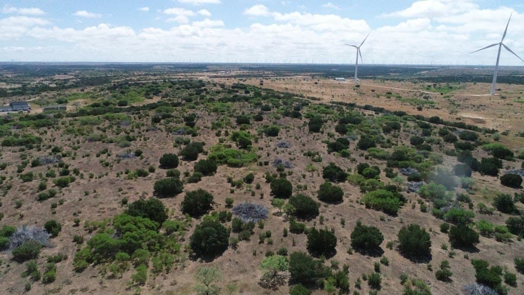 296.5 acres in Nolan County gallery image 2
