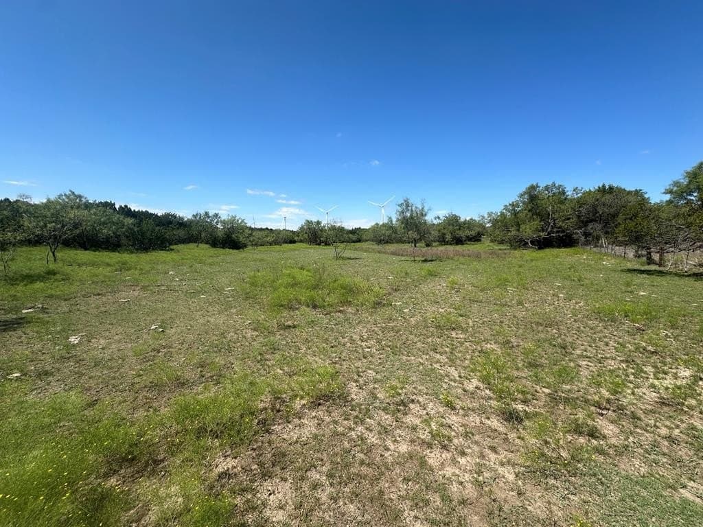 296.5 acres in Nolan County - photo 20
