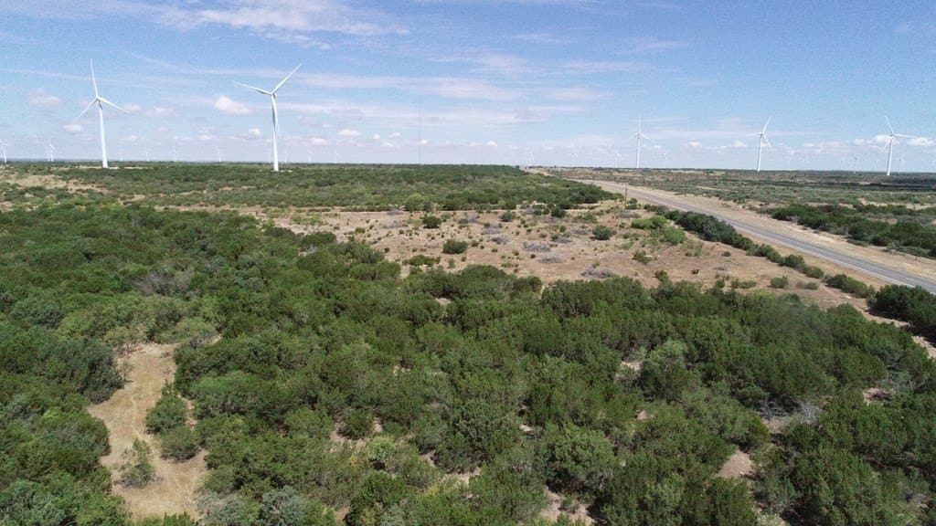 296.5 acres in Nolan County - photo 11