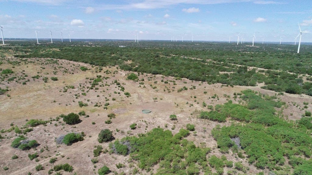 296.5 acres in Nolan County gallery image 4