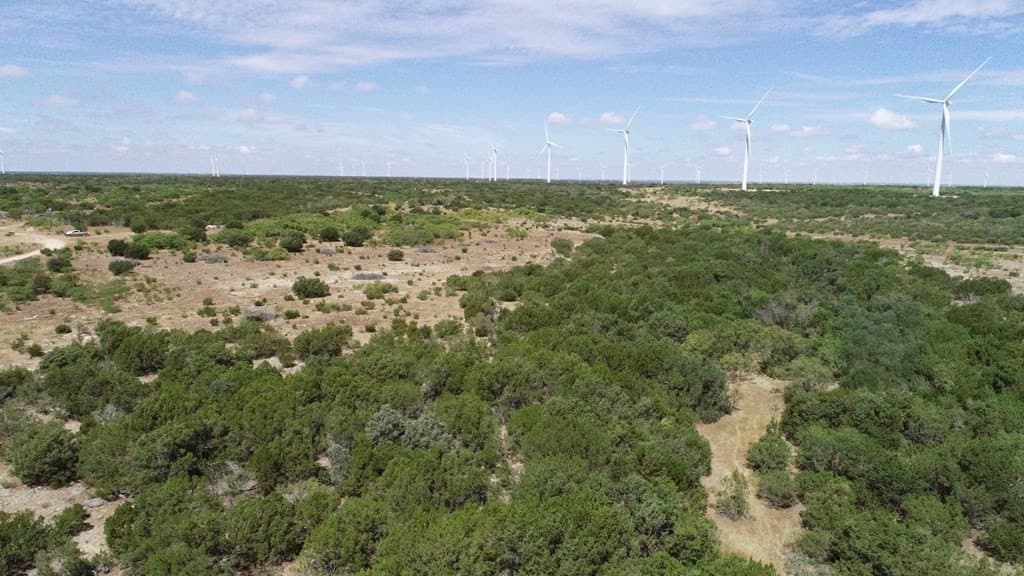 296.5 acres in Nolan County - photo 10