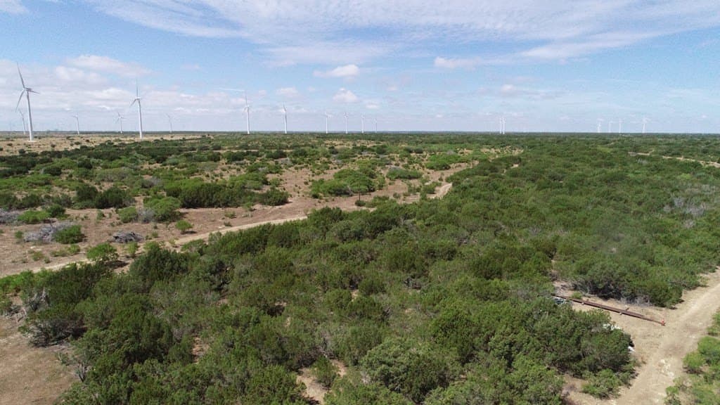 296.5 acres in Nolan County - photo 13