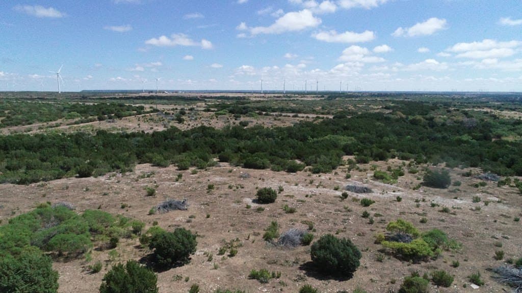 296.5 acres in Nolan County - photo 12