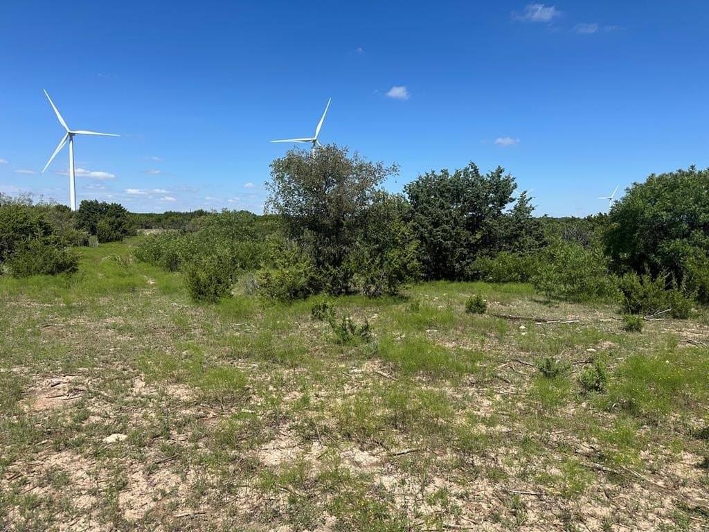 296.5 acres in Nolan County - photo 22