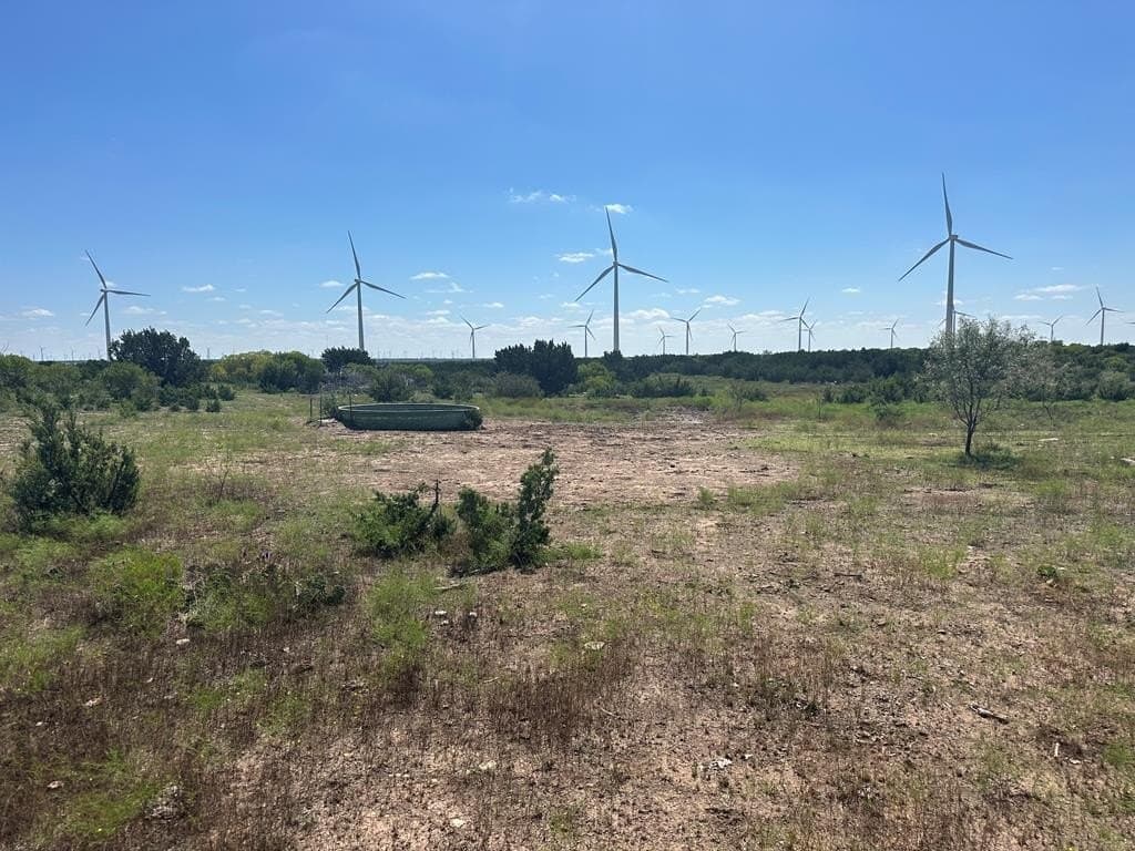 296.5 acres in Nolan County - photo 24