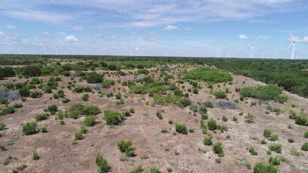296.5 acres in Nolan County - photo 8