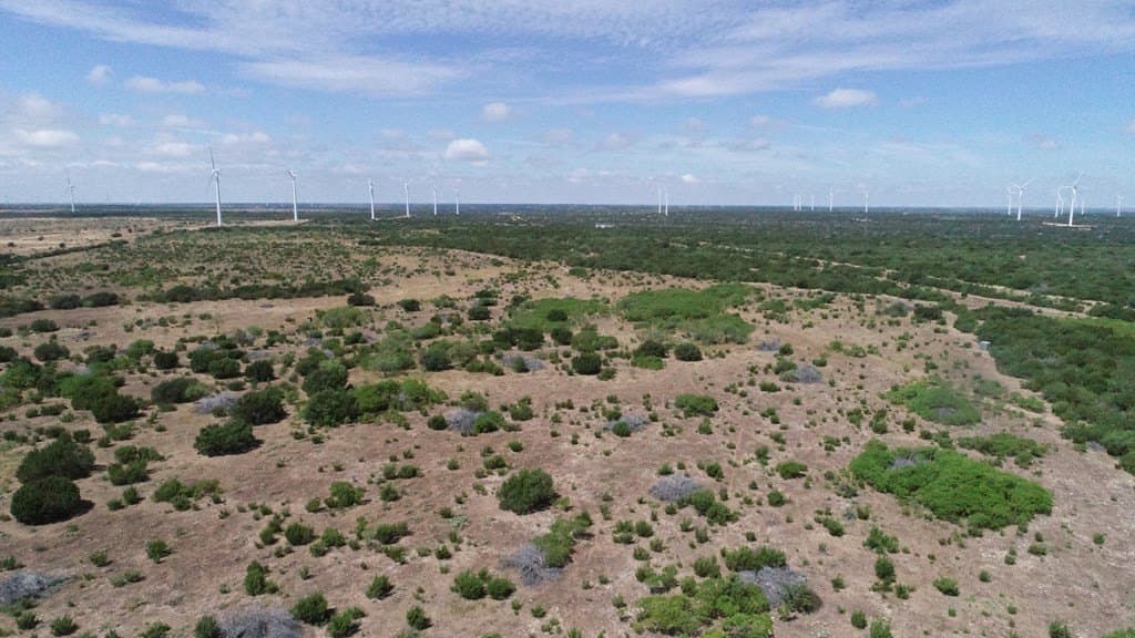 296.5 acres in Nolan County featured view