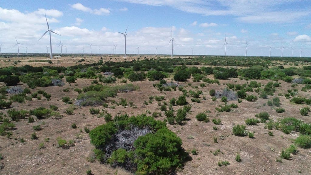 296.5 acres in Nolan County - photo 7