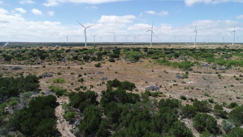 296.5 acres in Nolan County - photo 9
