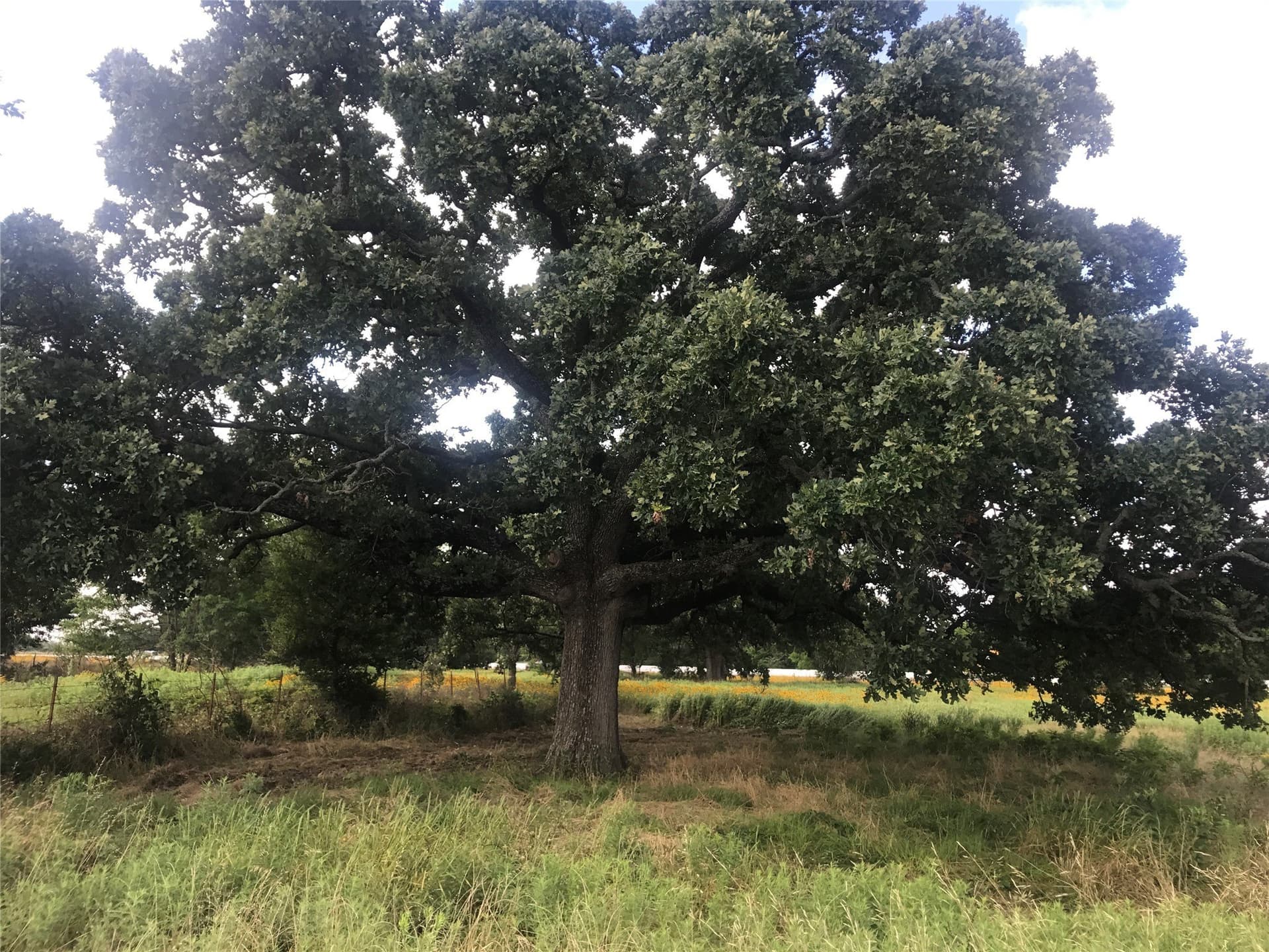 16.63 acres in Van Zandt County - photo 2