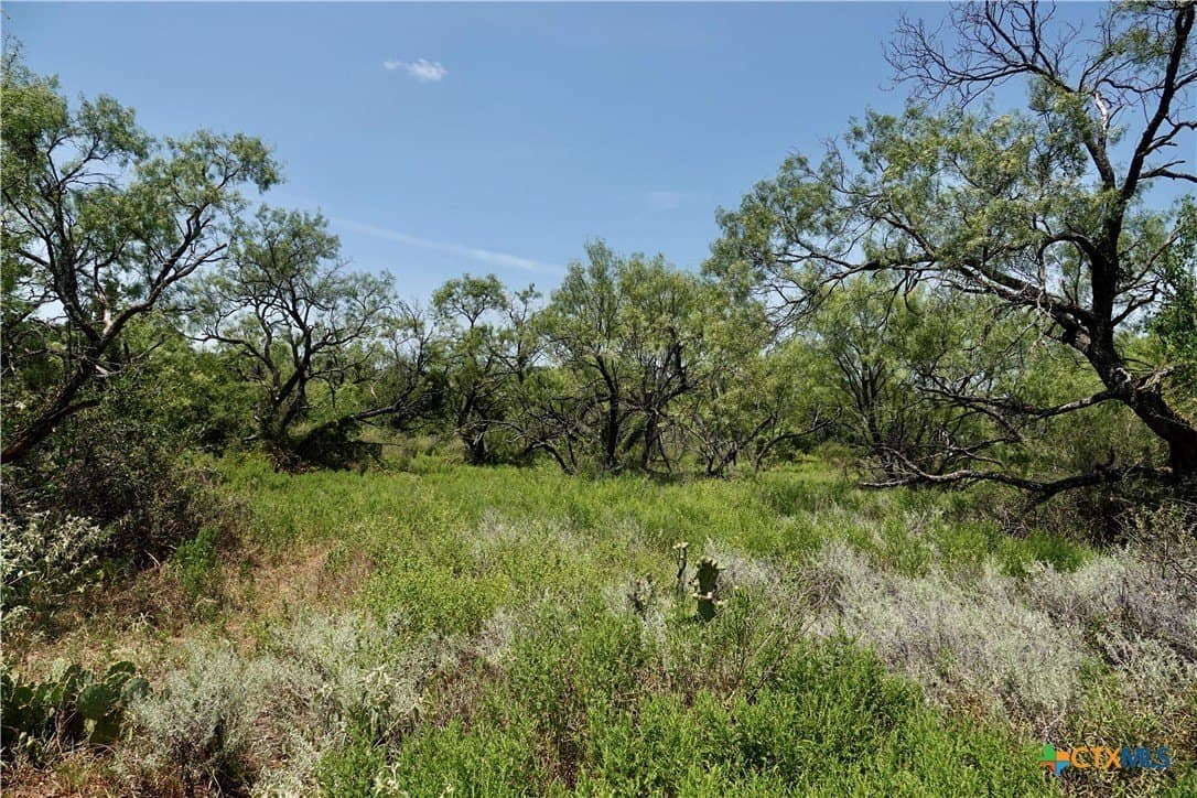 71 acres in San Saba County - photo 22