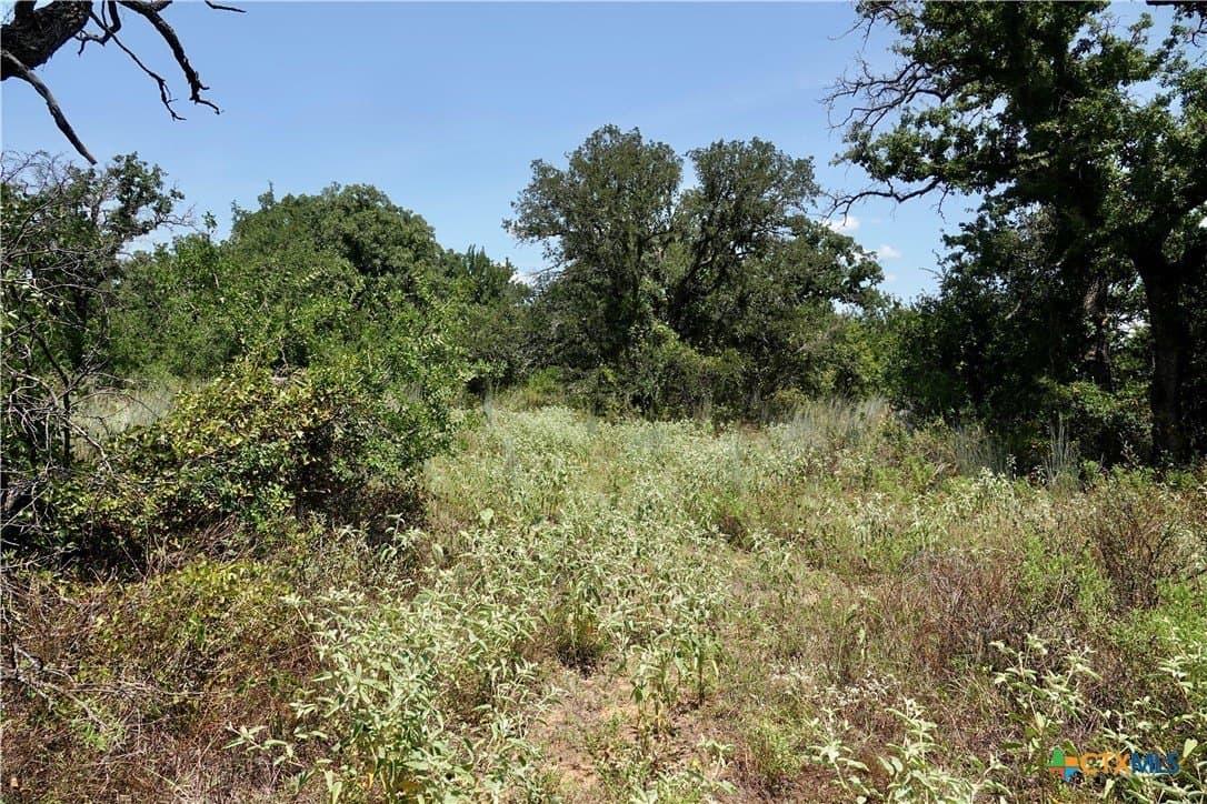 71 acres in San Saba County - photo 37