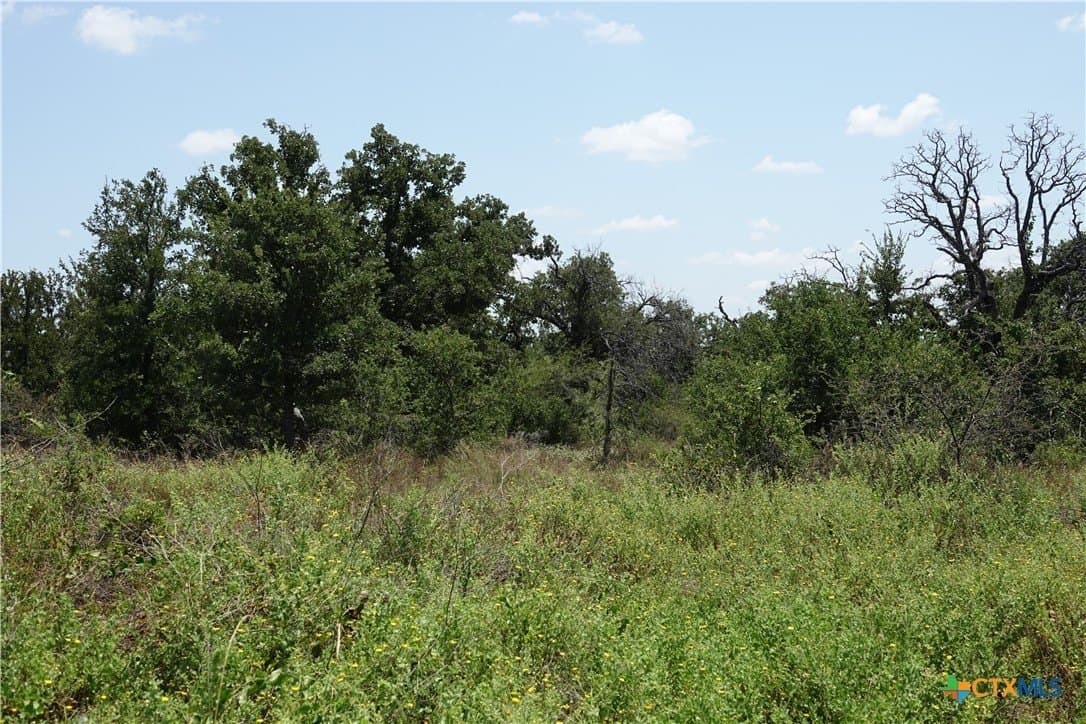 71 acres in San Saba County - photo 32