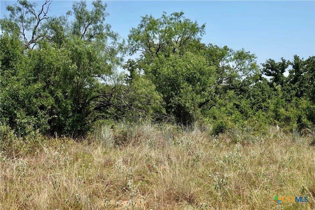 71 acres in San Saba County - photo 17