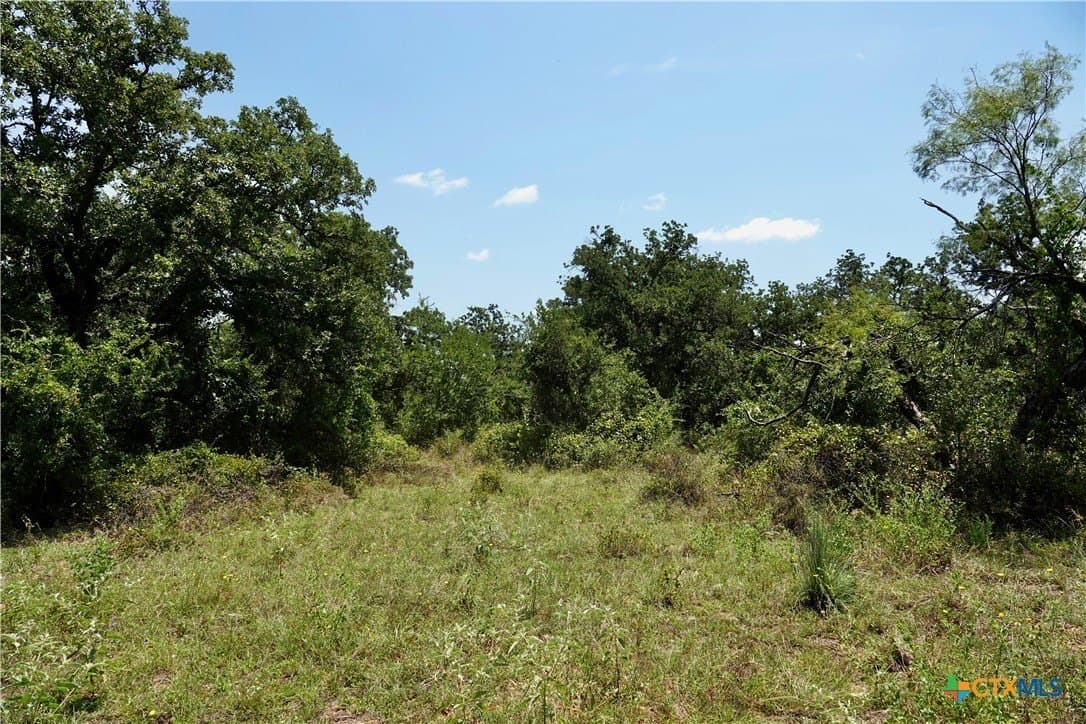 71 acres in San Saba County - photo 30